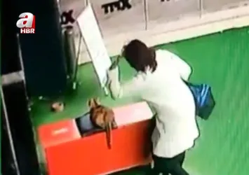 Ankara'da akılalmaz olay! Durduk yere hamile kediye saldırdı