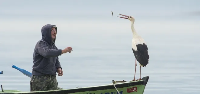 Hikaye yine gerçekleşti! Yaren leylek balıkçı Adem amcaya kavuştu!