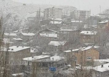 Hakkari'de nisanda kar etkili oldu!