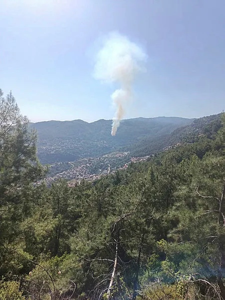 1689863367536.jpg Antalya’nın Alanya ilçesinde orman yangını kontrol altında - 2