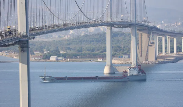 Son dakika: Ukrayna'dan gelen mısır yüklü gemi "Polarnet" Derince Limanı'na ulaştı - 2