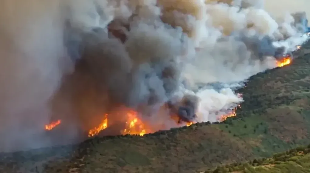 ABD'nin Colorado eyaleti alevlere teslim