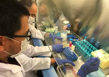 Türk bilim insanları coronavirüse karşı çalışıyor