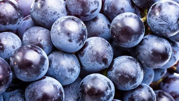 Muhakkak çekirdeğiyle tüketin! Bin derdin şifası üzüm çekirdeğinin faydaları