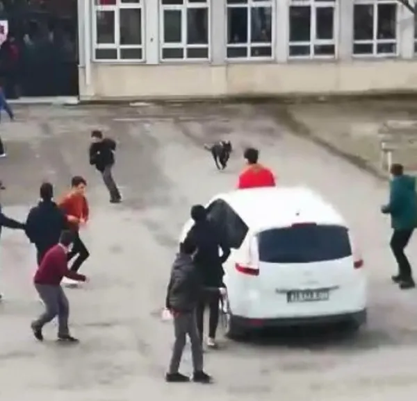 Kocaeli Darıca'da korku dolu anlar! Başıboş dolaşan köpek okula daldı - 2