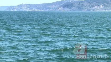 Zonguldak’taki depremin Marmara fay hattıyla ilgisi var mı? Uzman yer bilimciden flaş açıklama: İstanbul için zaman daralıyor