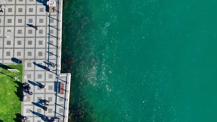 bogazda-musilaj-alarmi-oltalara-yapisiyor-aglari-parcaliyor-1744575533514.jpg FOTOĞRAF: AA