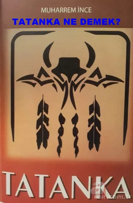 Muharrem İnce'nin şiir kitabı! Erotik ifadeler içerek şiirler Muharrem İnce'yi alay konusu yaptı 2