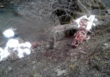 Sakarya'dan şoke eden görüntü