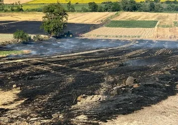 Tekirdağ'da çıkan anız yangını söndürüldü