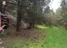 Yaban hayatını kayıt altına alıyor