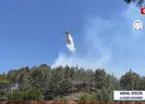 4 noktada orman yangını
