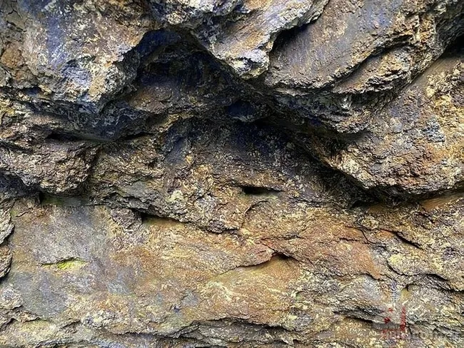 Enerji ve Tabii Kaynaklar Bakanı A Haber’de! Nadir toprak elementleri oksitlerinin üretimine başlandı