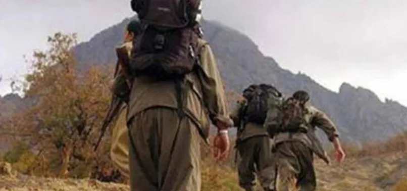 İçişleri Bakanlığı açıkladı: Teslim olan terörist sayısı 41'e yükseldi