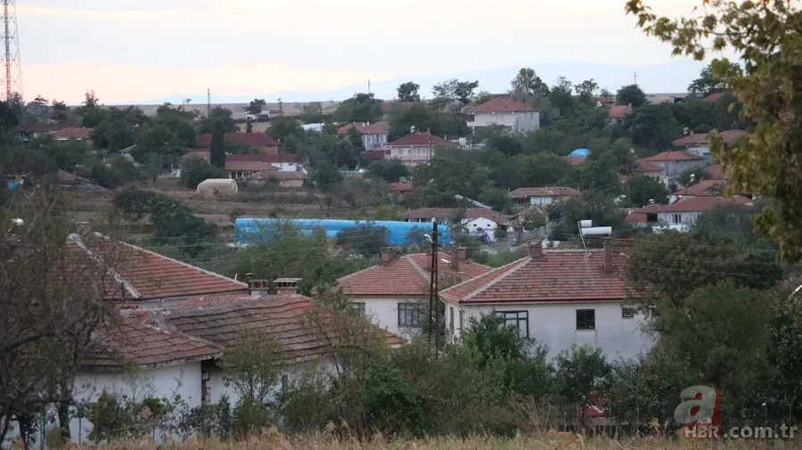 Edirne’de kan emen sinekten bulaşan ‘mavi dil’ hastalığı 8 köyü kapattı 1
