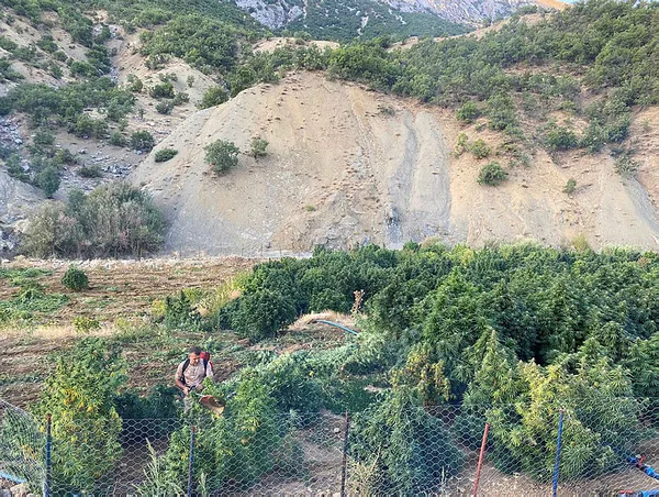 Diyarbakır’daki operasyon sonrası ateşe verildi: 1 ton 530 kilogram esrar ve 2 milyon 850 kök skunk...