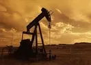 Terörsüz Türkiyenin simgesi Gabar