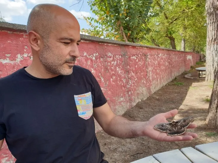 Okul bahçesinde buldu! Gören şaşıp hayran kalıyor! Hayatında gördüğü en büyük...