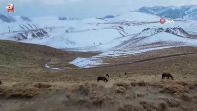 Gizemli yolculuk böyle kayda geçti