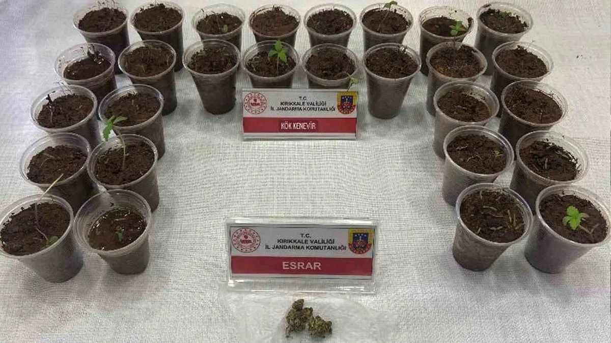 Bagajdan bardak bardak kenevir çıktı: Uyuşturucuyla yakalanan şüpheli tutuklandı