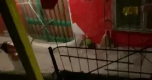 Vicdansız yavru köpeğe işkence etti!