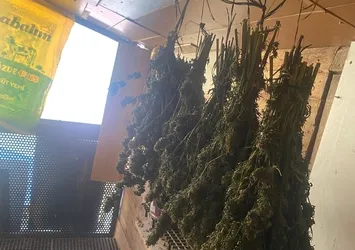 Bursa'da zehir taciri kıskıvrak yakalandı