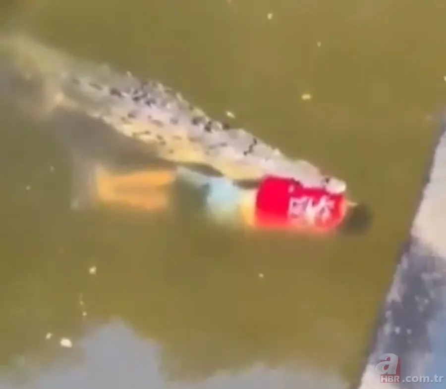 Gören şoke oldu! O ilimizde görüntülendi 3