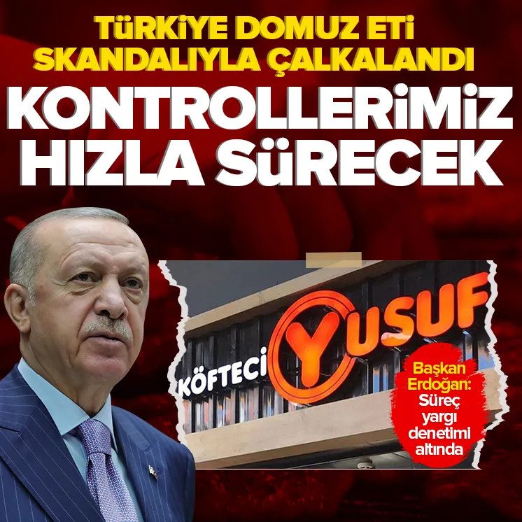 Başkan Erdoğan: Denetimlerimiz devam edecek