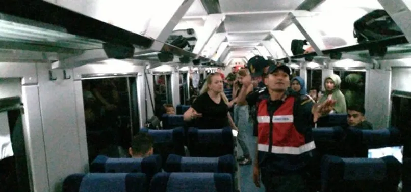 Evcil hayvanla trene binen kadın kavga çıkardı, tren 2 saat rötar yaptı