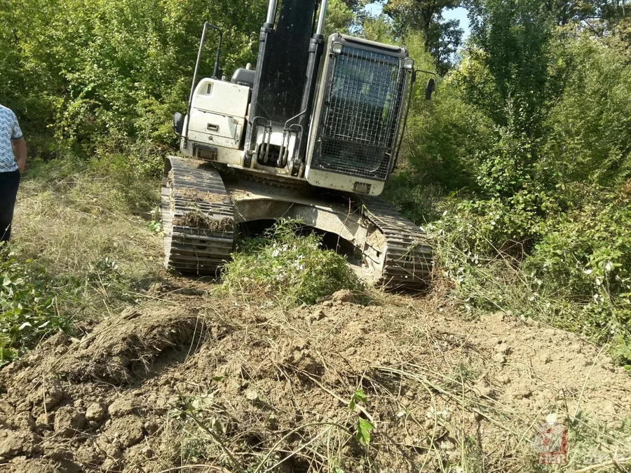 Ormanda doğum yapan inek 3 gün sonra kurtarıldı 2
