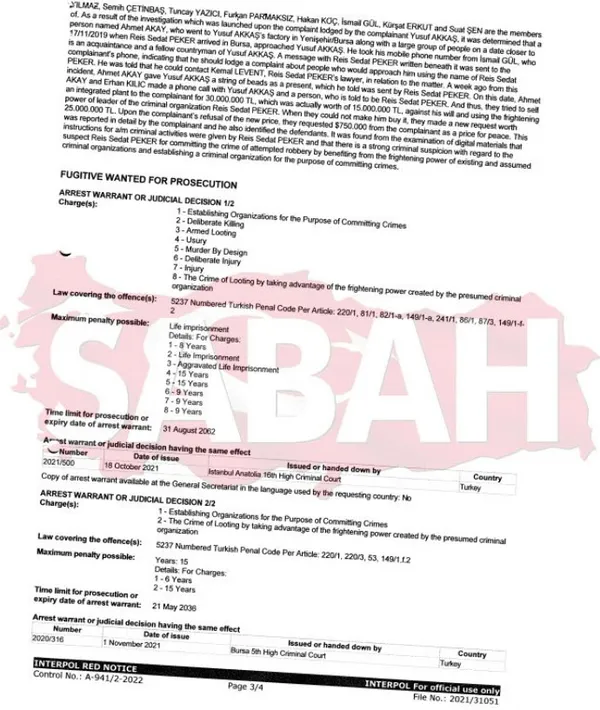 Suç örgütü lideri Sedat Peker'in basın danışmanı Emre Olur İstanbul'a getirildi - 6