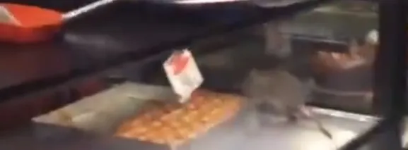 İstanbul’da iğrenç görüntü! Fare tatlıların üzerinde gezdi - 1