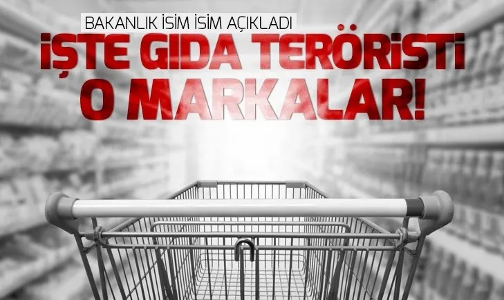 CHP'li Milletvekili Erdin Bircan hayatını kaybetti - 1