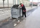 Kedilerin derisini yüzdüler ihbarından bakın ne çıktı