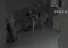 Bakımevinde kan donduran vahşet! Görüntüler ortaya çıktı