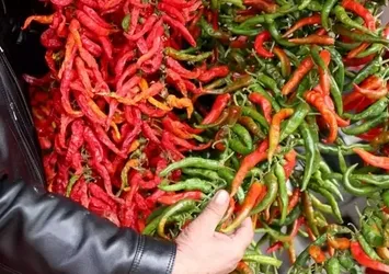 Faydasını duyan kiloyla alıyor! En hızlı ağrı kesici...