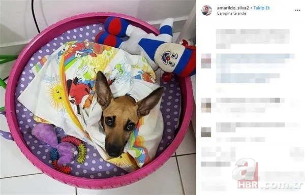 Eski lastikleri toplayıp bakın ne yaptı... 9