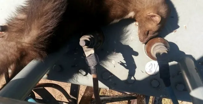 Manisa'da sansar bin kişiyi 2 buçuk saat susuz bıraktı - 1
