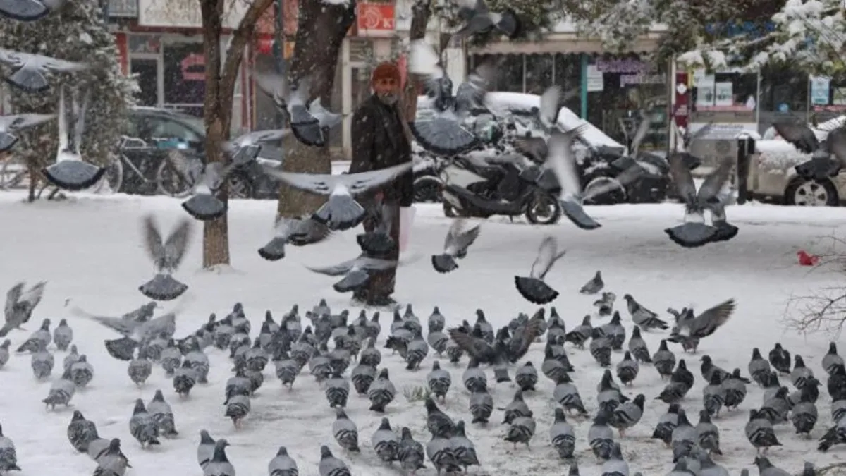 Sivas’ta rüyasında aldığı emirle 20 yıldır her gün kuşları besliyor