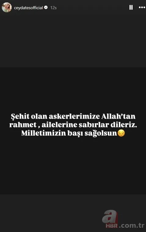 Başımız sağ olsun! Ünlülerden şehit olan askerlerimiz için taziye mesajları 12