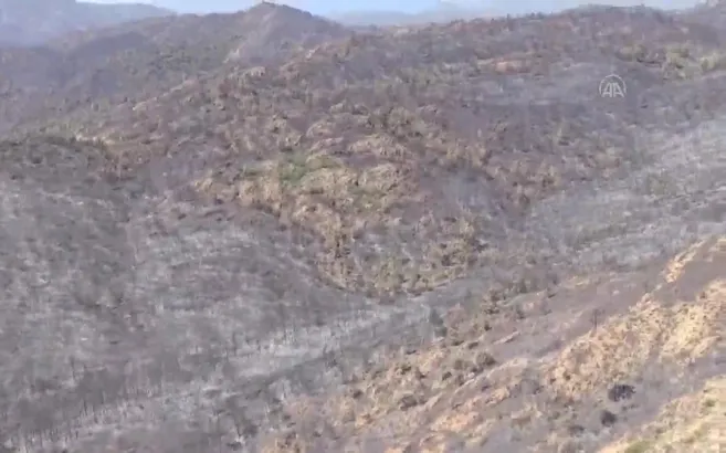 Yanan orman alanı havadan görüntülendi