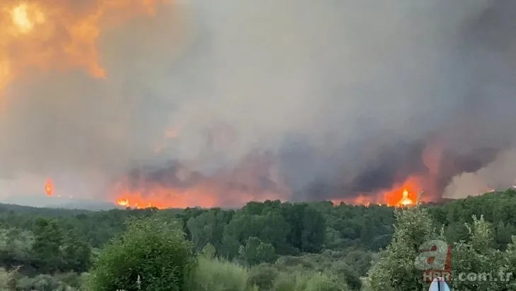 Roma’nın 5 katı büyüklüğünde alan kül oldu! Avrupa yanıyor