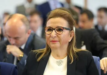 Sahte servise site darbesi