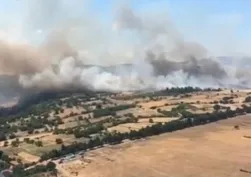 Balıkesir'de orman yangını çıktı