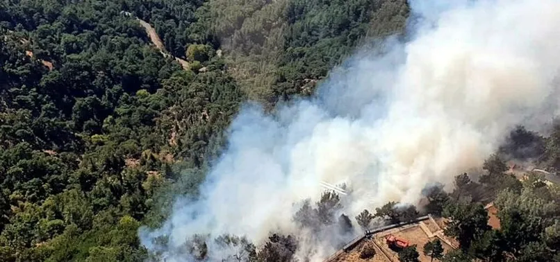 Son dakika: İzmir’de orman yangını! Havadan ve karadan müdahale