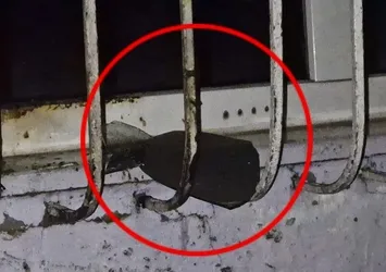 Diyarbakır'da 5 kişinin olduğu ev kundaklandı