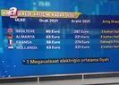 Avrupa’da elektrik fiyatları artışta