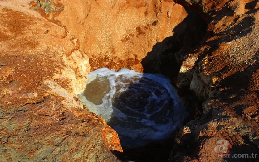 En son 2016'da görülmüştü yeniden ortaya çıktı! Tedirgin eden görüntüler: Uzmanından açıklama 7