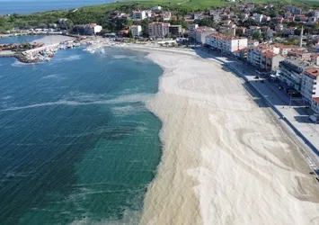 Marmara Denizi'nde büyük kabus! Müsilaj tespit edildi