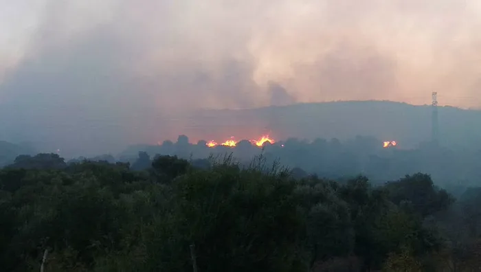 İzmir'de yangın: 3 hektar alan zarar gördü! Sabotaj ihtimali - 3